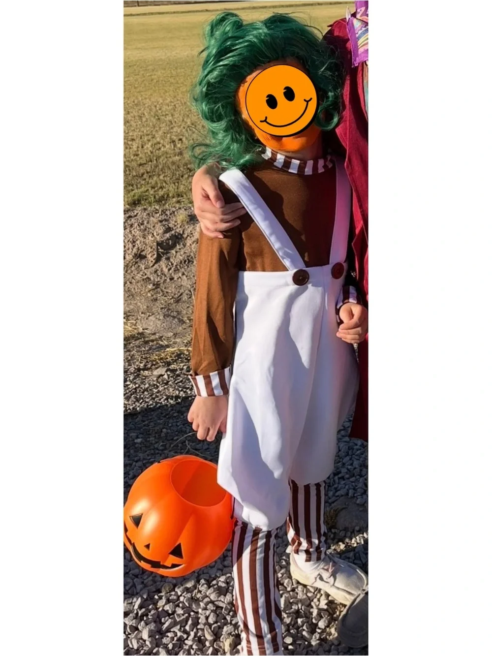 Willy Wonka Oompa Loompa Toddler Costume - Green Wig & Jumpsuit